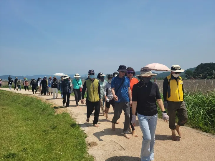 시민들이 순천만습지 인근을 맨발로 걷고 있다.