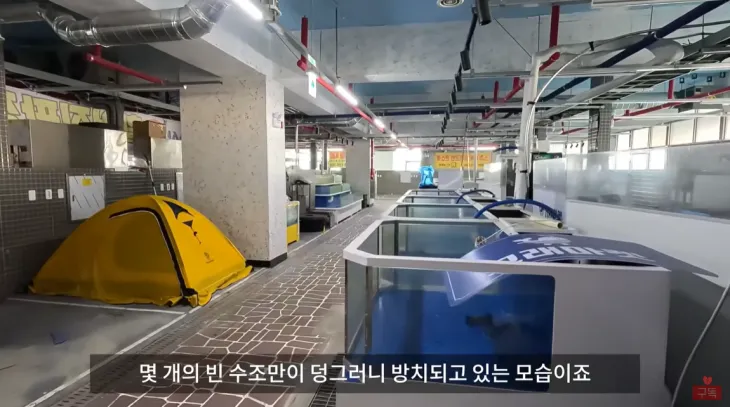 경기 시흥시 거북섬의 텅 비어 있는 대형 회센터 내부. 유튜브 채널 ‘여우대장’ 캡처