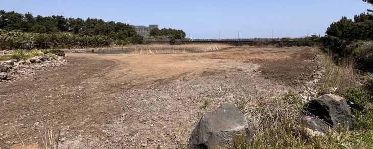 매립한 후 습지의 모습. 제주환경운동연합 제공