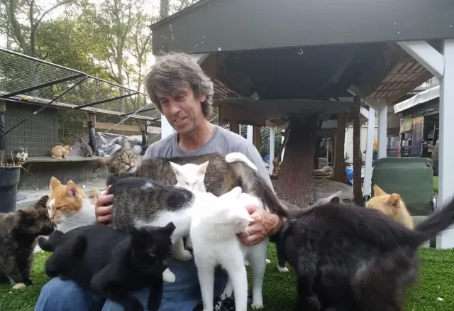 아들을 교통사고로 떠나보낸 슬픔에서 벗어나기 위해 유기묘 보호소를 세운 남성이 화재 속 고양이들을 구하러 불길 속으로 뛰어들었다가 빠져나오지 못해 숨진 안타까운 사고가 발생했다. 페이스북