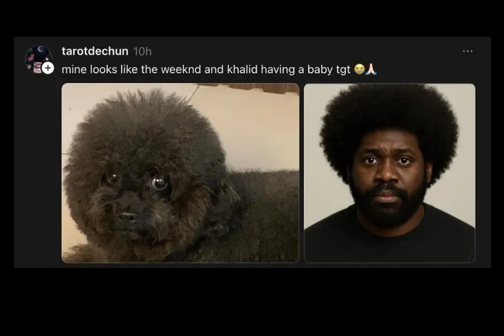 챗GPT의 이미지 생성 기능으로 만든 반려동물의 인간화 이미지. 오픈AI 공식 인스타그램 캡처