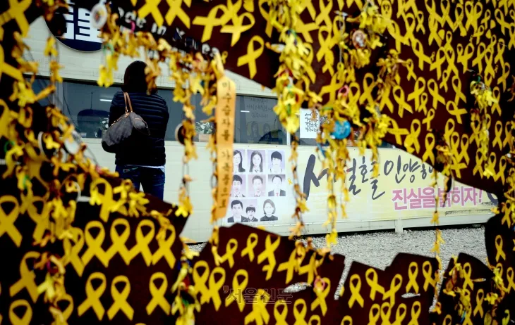 세월호가 1차 인양을 마무리한 24일 전남 진도 팽목항에 미수습자들의 사진이 걸려 있다.   2017.3.24 박지환기자