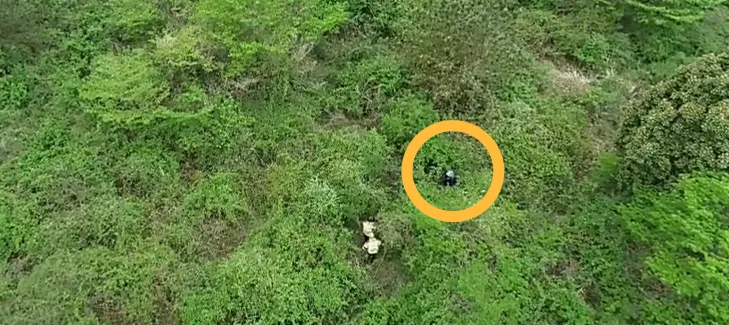 제주시 구좌읍 덕천리에서 60대 여성이 고사리를 채취하다 길을 잃었다가 소방대원들에 의해 구조하기 위해 길을 트고 있다. 제주도소방안전본부 제공