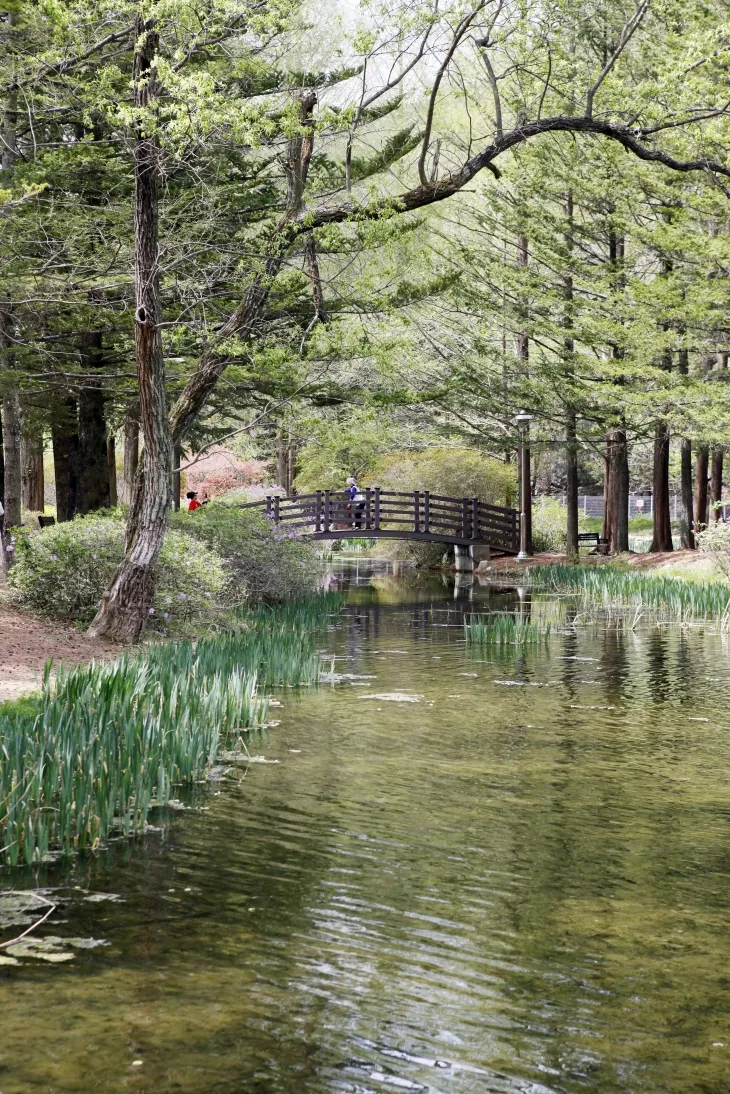곳곳에 호젓하고 낭만적인 풍경이 숨어 있는 낙강물길공원.