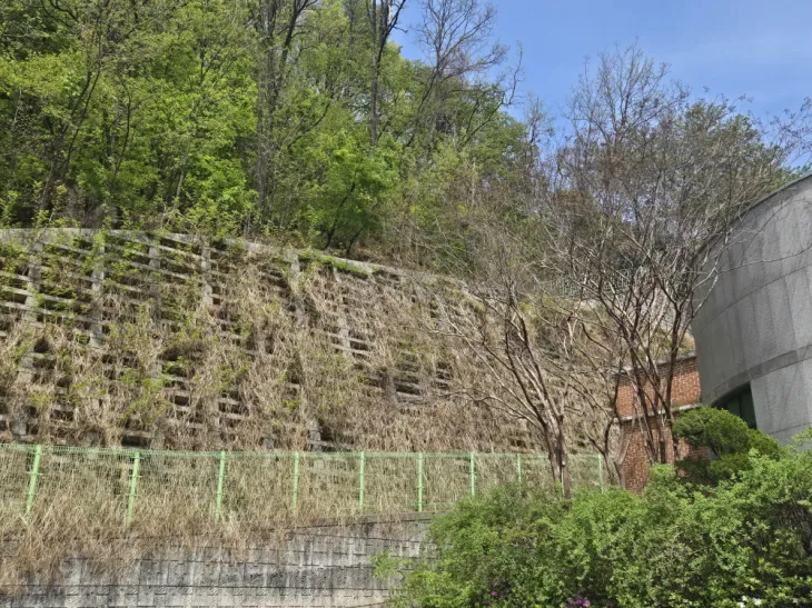 군포 당동중학교 후면 옹벽의 모습