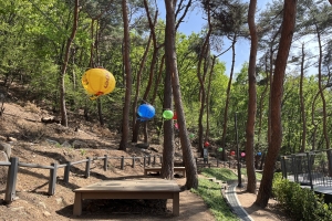 호압사의 고즈넉한 숲을 시민과 함께…서울시, 사찰림(林) 공유숲 1호 조성