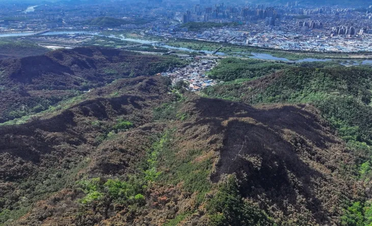 2일 대구 북구 함지산 산림 일부가 지난달 28일 발생한 대형 산불로 검게 탄 모습을 보이고 있다. 연합뉴스