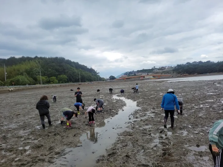 룡대미마을에서 어촌체험을 하고 있는 삼산초등학교 학생들.  경남교육청 제공