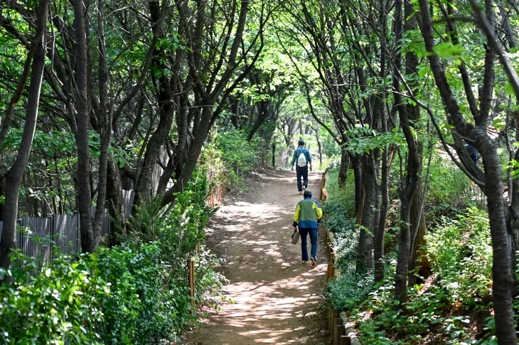 서울 서대문구가 백련산 능선 등산로에 새롭게 조성한 ‘맨발길’을 시민들이 걷고 있다. 서대문구 제공