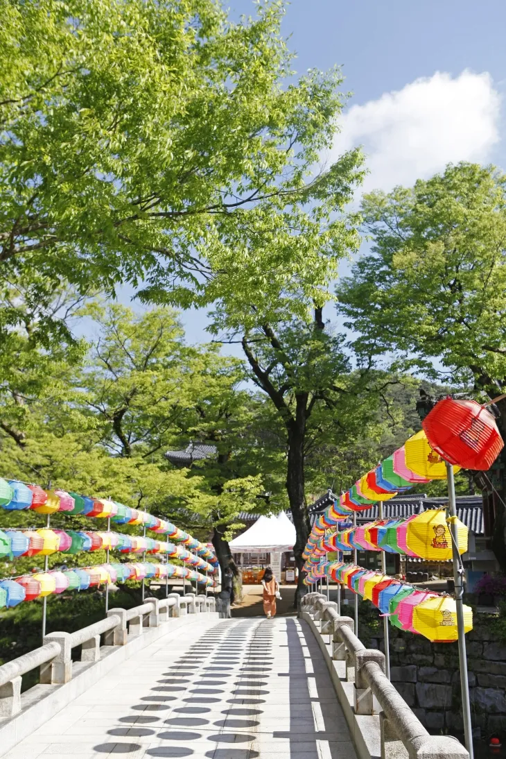 마곡사 극락교를 건너고 있는 템플스테이 체험객. 마곡사템플스테이는 휴식에 초점을 두고 있어 젊은층 사이에서 인기다.