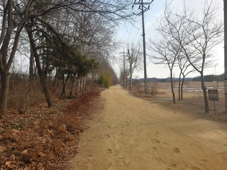안산갈대습지(안산시 제공)