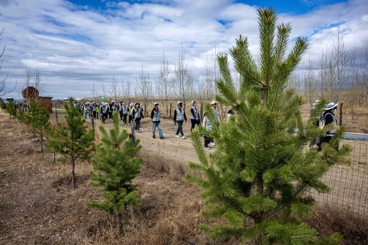 대한항공과 아시아나항공 임직원들이 지난 20일 몽골 울란바타르시 바가노르구에 위치한 대한항공 숲에서 식림 활동을 하고 있다. 2025.5.20 울란바토르 홍윤기 기자