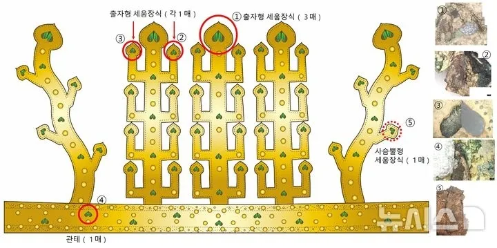 금동관 모식도 및 비단벌레 날개 확인 위치 (① 출자형 세움장식 중앙 끝단 3매 / ②,③ 출자형 세움장식 좌우 끝단 각 1매 / ④ 관테 1매 / ⑤사슴뿔형 세움장식 1매)  국가유산청 제공