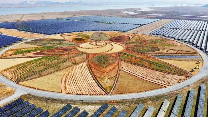 전남 해산군 솔라시도 태양광발전소 내 태양의 정원 ‘썬가든’ 중 부지 중앙에 위치한 원형광장 모습. 해남군 제공