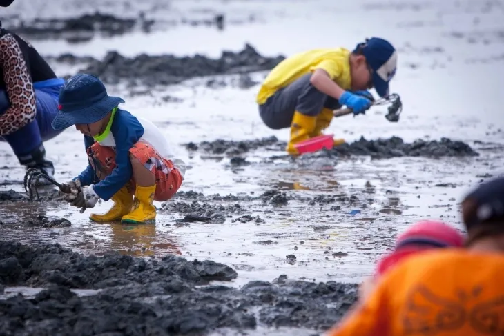 전북 고창 갯벌. 한국관광공사