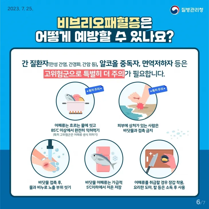 비브리오패혈증 예방 홍보물
