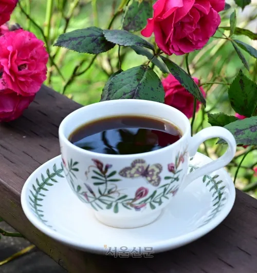 유자와 더불어 고흥의 명물로 떠오른 커피.