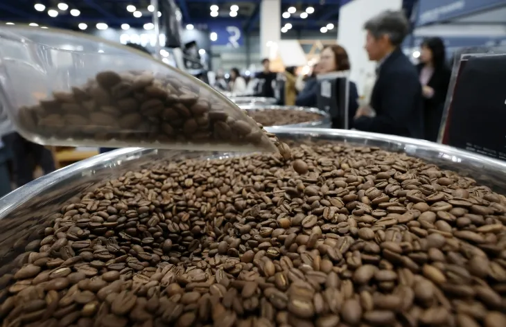 커피 원두의 모든 것