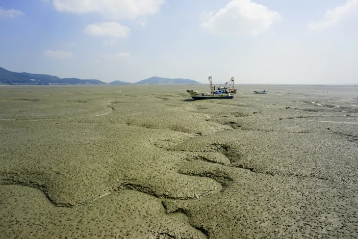 인천 강화도 갯벌. 강화군 제공