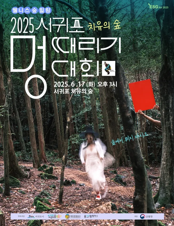 서귀포치유의숲 멍때리기 대회 포스터. 서귀포시 제공