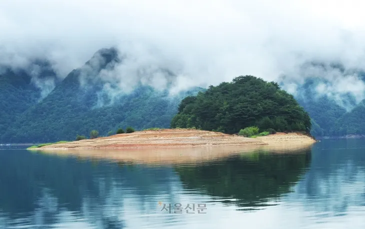 파로호 다람쥐 섬.