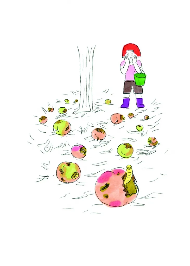 벌레 먹은 복숭아