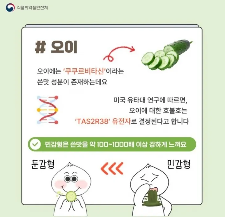 식품의약품안전처 제공