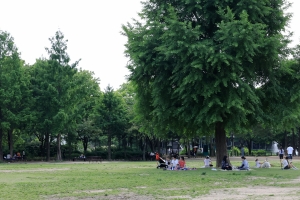 서울숲에 불지른 러시아 남녀… 범행 1시간 반만에 검거