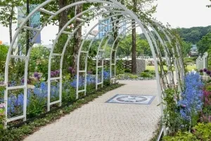 디올, 서울시와 함께 보라매공원에 기업 동행 정원 조성