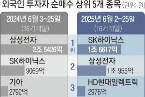외국인, 이달 SK하이닉스·삼성전자 많이 샀다… 한미 ‘반도체 랠리’