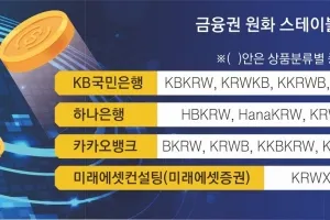 “테더 USDT처럼… 우리는 KBKRW”… ‘치고 나간 KB, 은행권 ‘따로 또 같이’