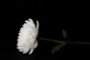 “노잣돈 챙기더니… 수의도 강매” 장례식장 갑질에 두 번 우는 유족들