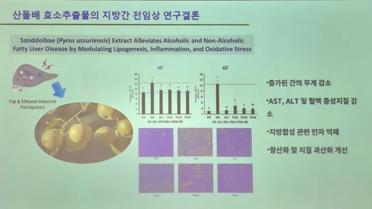 전남 토종자원 ‘산돌배’ 기능식품 산업화 전략포럼에서 소개된 산돌배 효능의 일부 자료 모습.