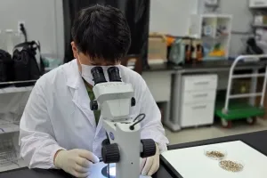 화성서 일본뇌염 매개모기 ‘작은빨간집모기’ 발견…경기지역 작년보다 한 달 빨라
