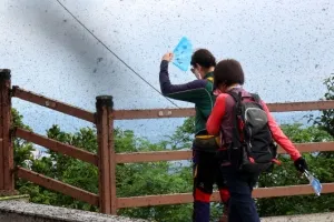 [포토] 러브버그로 뒤덮인 계양산