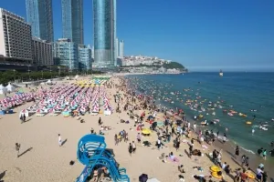 부산 8개 해수욕장 수질,모래  환경기준 적합