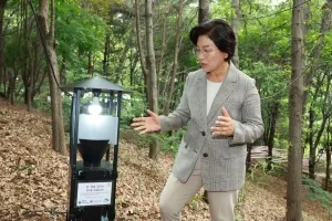 “러브버그 막아라”…은평구, 친환경 방제 총력
