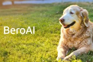 BeroAI, 세계 최초 반려견 소통 AI 기술로 미국 특허 등록… 3개월 만에 허가
