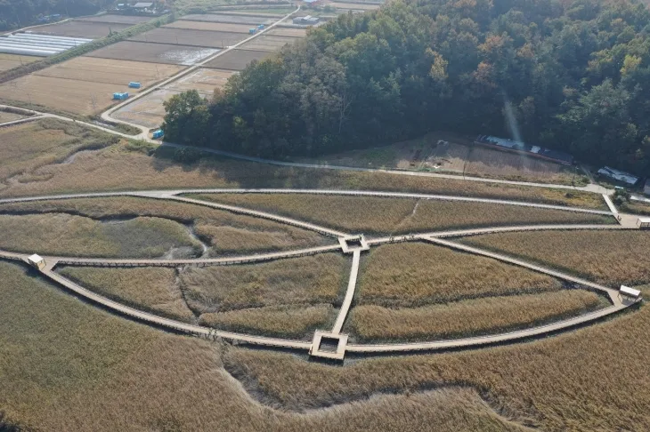 보성 벌교 갯벌탐방로 전경