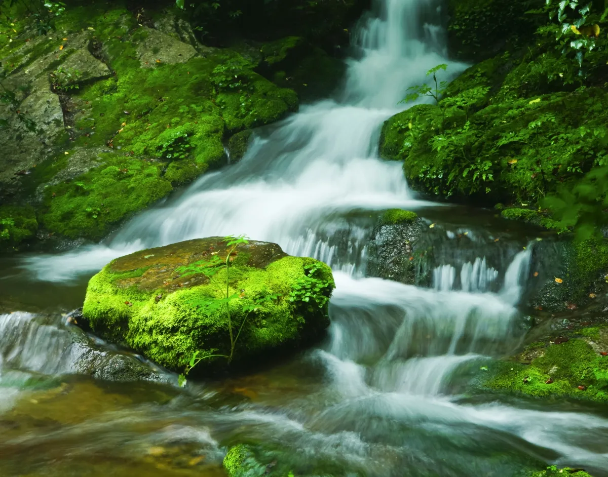 검룡소 (사진-태백시)