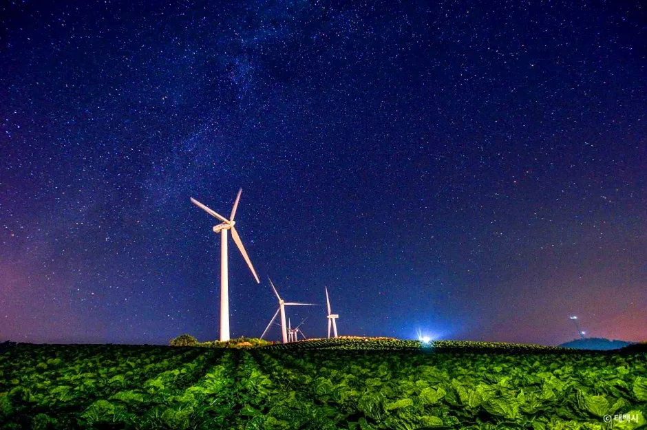 바람의언덕 (사진-태백시)