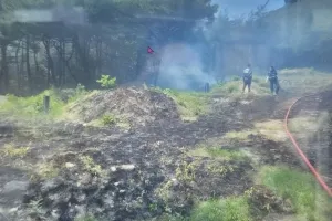 경북 경주 야산에서 불…1시간 30여분 만에 진화