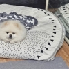 몽실아, 오늘따라 왜 이렇게 짖어?…화재 알려 온가족 살렸다 [김유민의 노견일기]