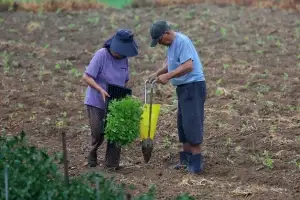시간당 30㎜ ‘도깨비 폭우’ 주말까지… ‘침수 주의보’