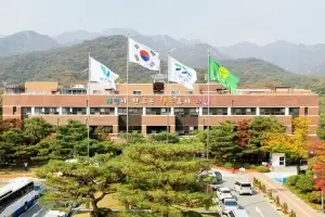 과천시, 축제 현장서 안전요원 폭행 논란 직원 ‘직위해제’