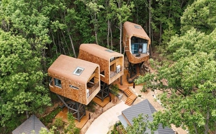 트리하우스 전경. 노원구청 제공