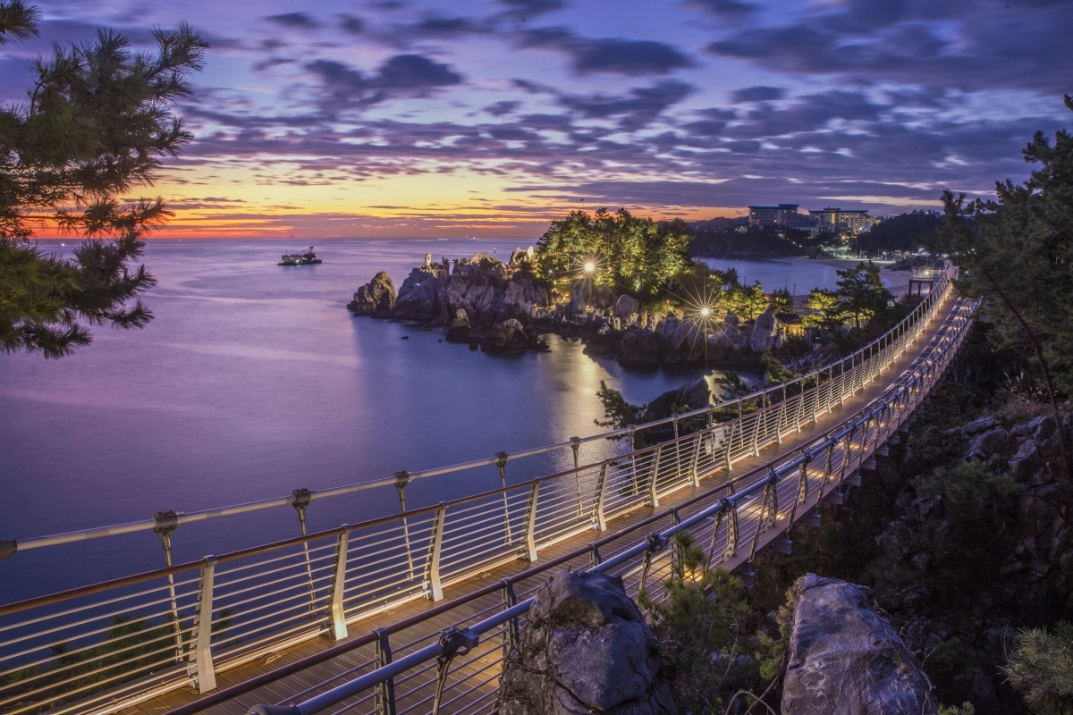 강원 동해시 추암해수욕장 야경. 서울신문 DB