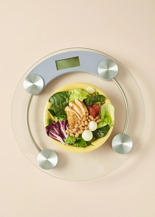 자료 이미지. 아이클릭아트