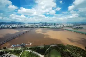집중호우의 뒤늦은 흔적
