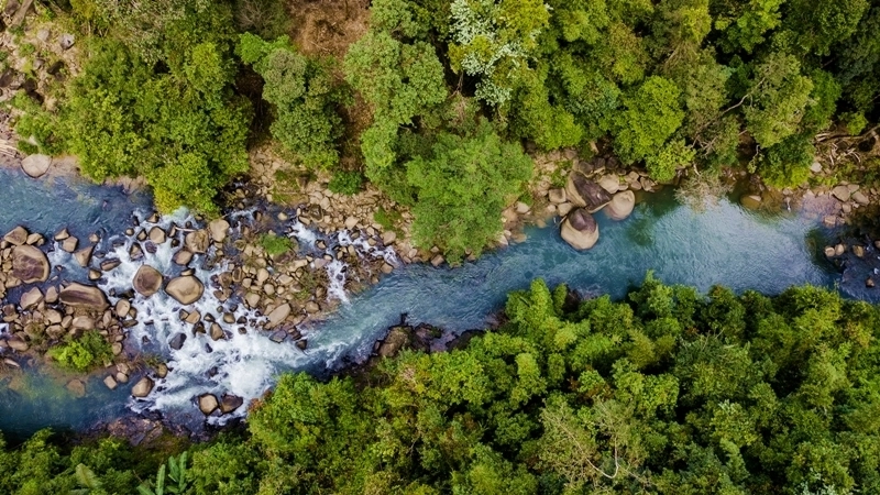 태국 남부 수랏타니주(州) 카오속 국립공원. 사진은 기사 내용과 직접 관련 없음. 태국관광청 홈페이지 캡처